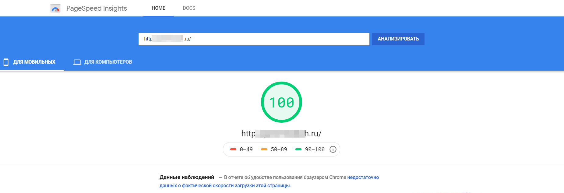 Google PageSpeed Insights test result, client's online store after optimization. The ideal result delivered by INITLAB.